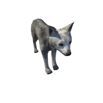 Wolf_cub_LowPoly_RM