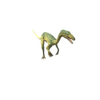 EMERALD-DINO-Compy