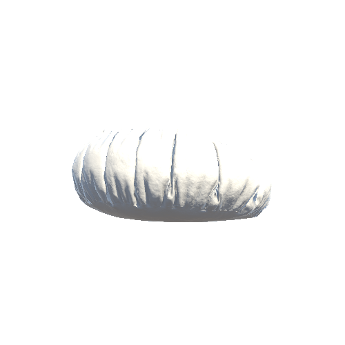 bean_bag