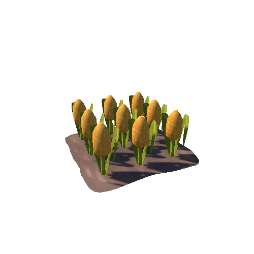 Farm_Corn_01