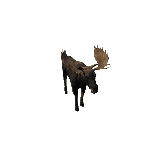 Moose_bull_LowPoly_IP