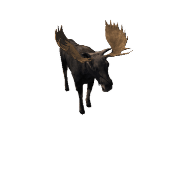 Moose_bull_LowPoly_RM