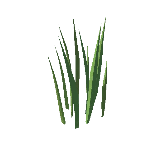 Grass