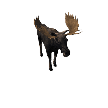 Moose_bull_LowPoly_IP