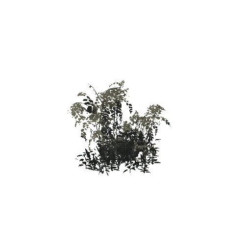 Swamp_Bush_02