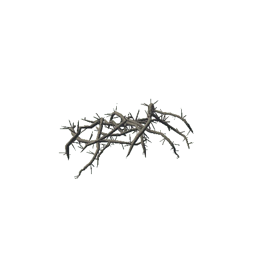 Swamp_Thorn_02