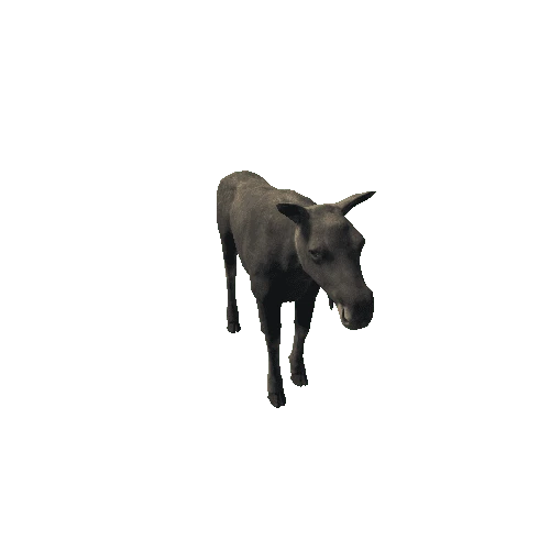 Moose_cow_HighPoly_IP