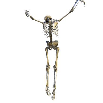 Skeleton_Props_09