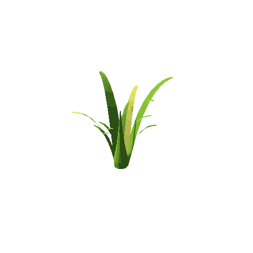 Plant_01