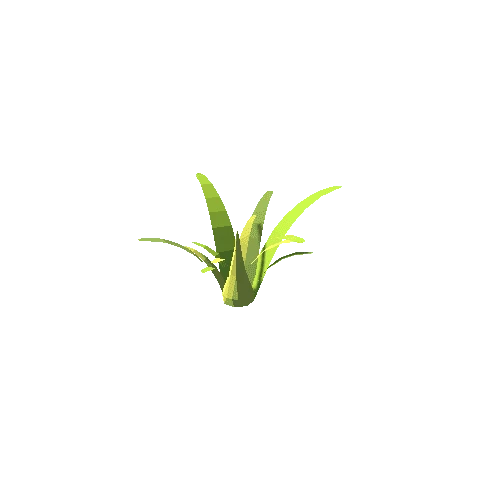 Plant_02