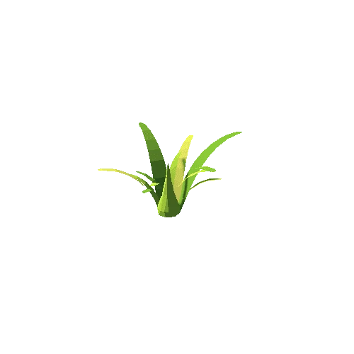 Plant_03