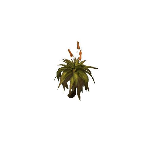 Aloe_Shrub_V1