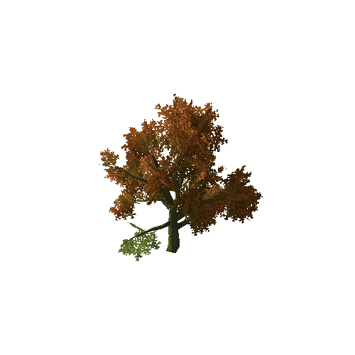 Beech_Tree_V8_1