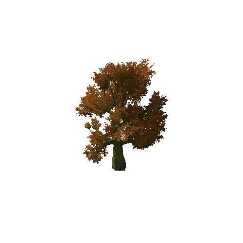 Beech_Tree_V9_1