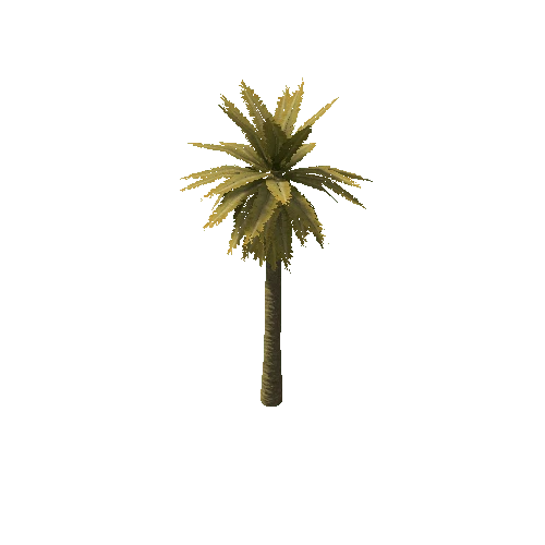 Date_Palm_Tree_V4_Dry