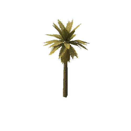 Date_Palm_Tree_V4_Dry_1