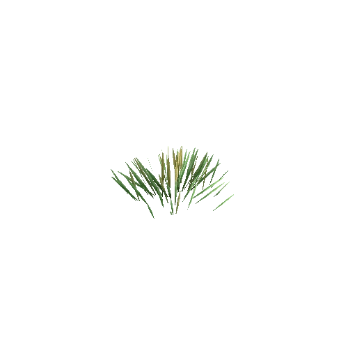 Edelweiss_Grass_V1