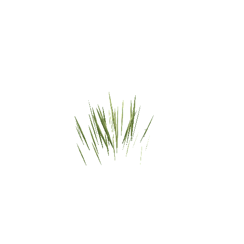 Edelweiss_Grass_V2_1