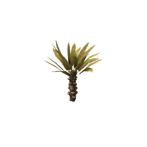 Palm_Small_V1_Dry_1