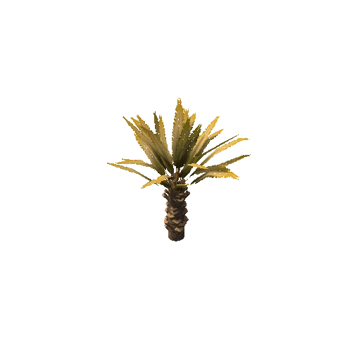 Palm_Small_V2_Dry