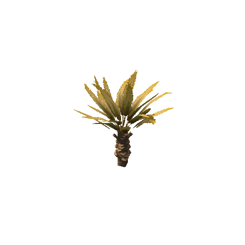 Palm_Small_V2_Dry_1