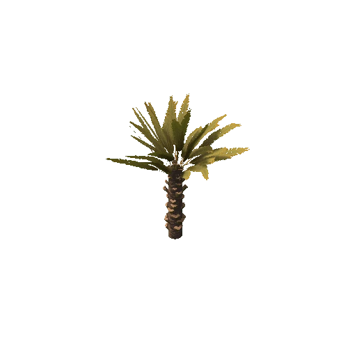 Palm_Small_V4