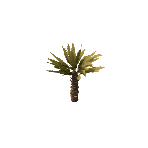 Palm_Small_V5