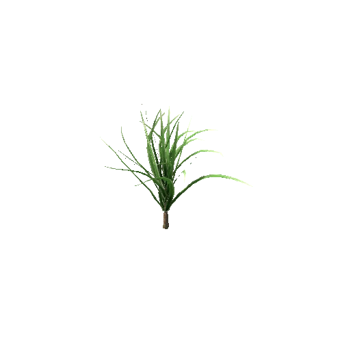 Spiky_Plant_V1_1