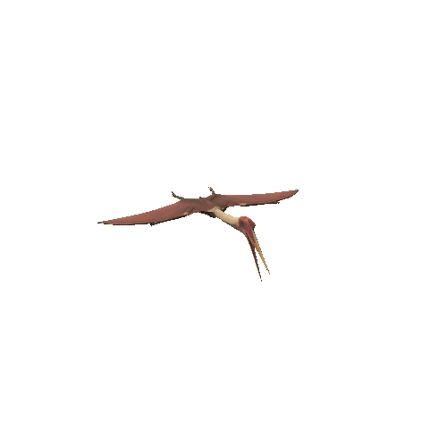 Quetzalcoatlus_Crest_LOD1