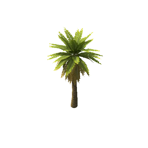 Date_Palm_Tree_V1