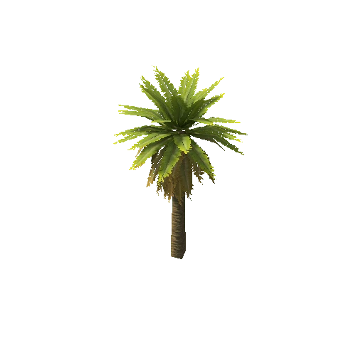 Date_Palm_Tree_V1_1