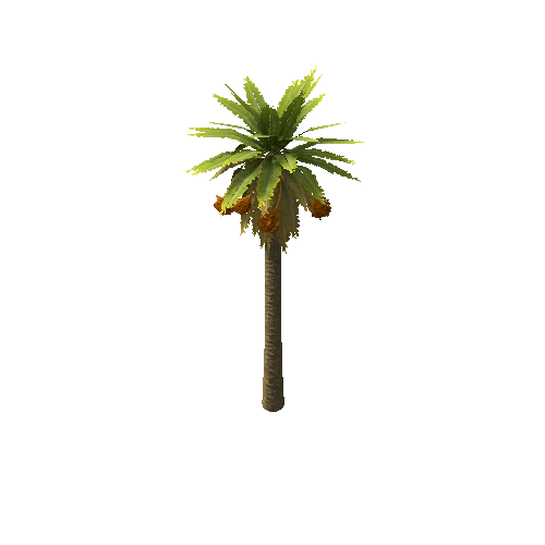 Date_Palm_Tree_V3