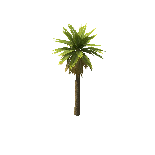 Date_Palm_Tree_V4