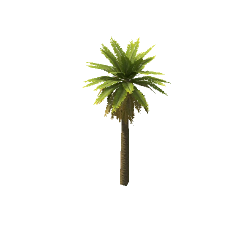 Date_Palm_Tree_V4_1