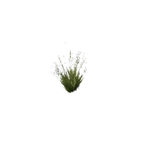 Long_Grass_V1