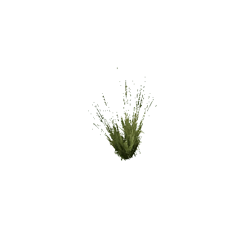 Long_Grass_V1_1