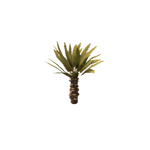 Palm_Small_V1