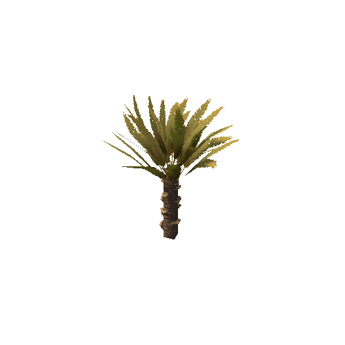 Palm_Small_V1_1