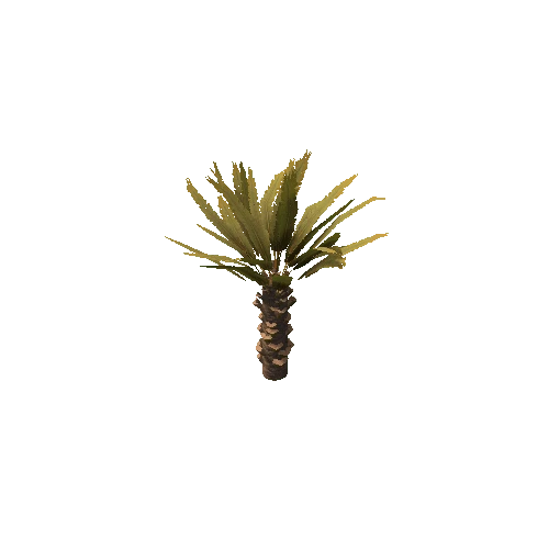 Palm_Small_V3