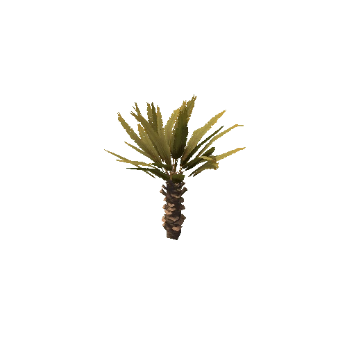 Palm_Small_V3_1