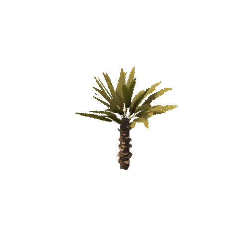 Palm_Small_V4_1