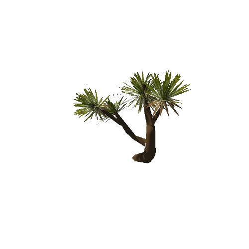 Aloe_Tree_Small_V1