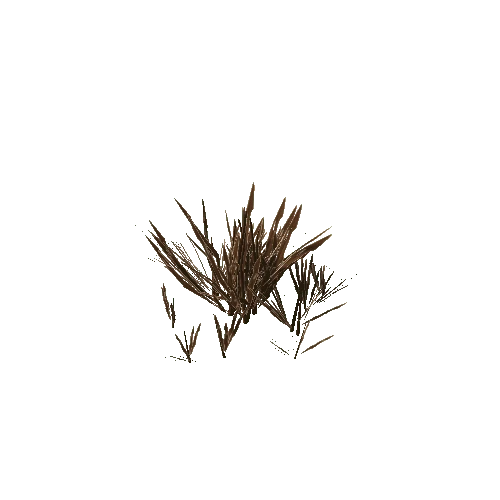 DryLongLeafPlant_V1