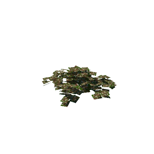 Dry_Leafy_Plant_1