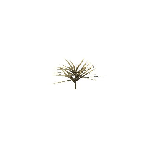 Spiky_Plant_V2_1