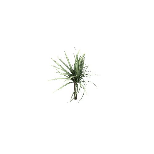 Spiky_Plant_V3