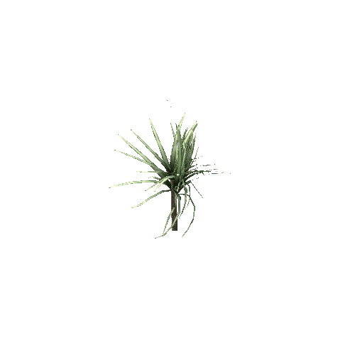 Spiky_Plant_V3_1