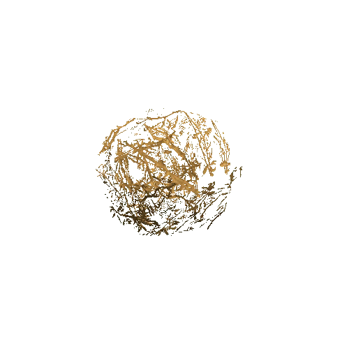 Tumbleweed_V2