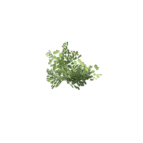 Bush_Small_Leafy_V3_1