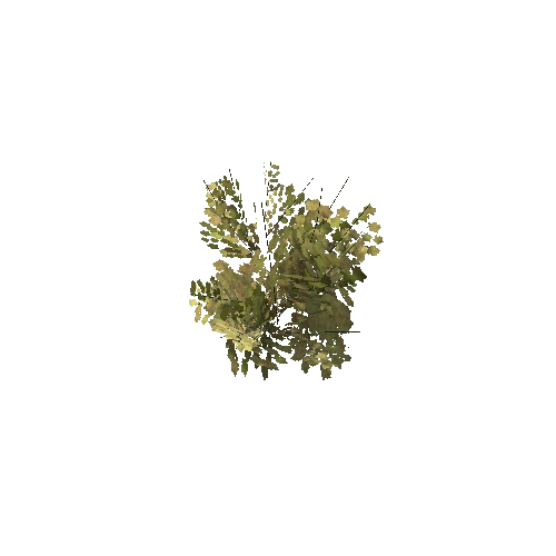 Bush_Small_Leafy_V4